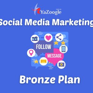 Social Media Marketing Bronze Package