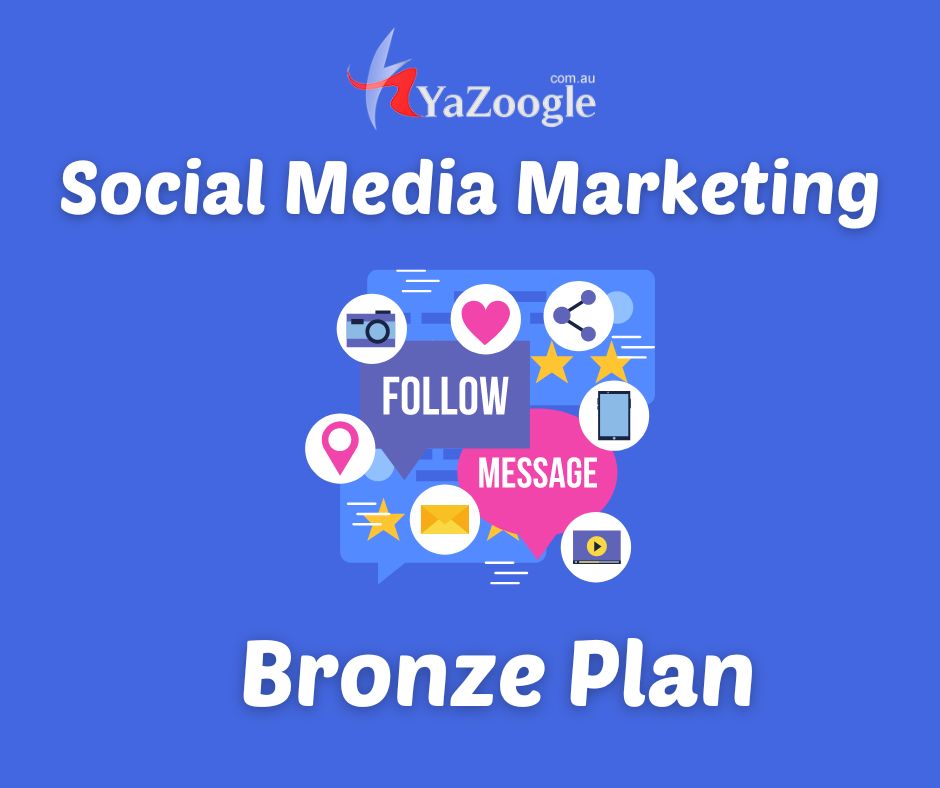 Social Media Marketing Bronze Plan