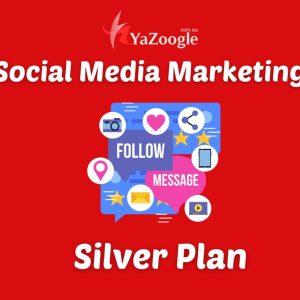 Social Media Marketing Silver