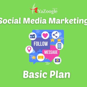 Social Media Marketing Basic Package